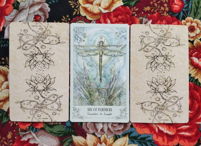 Magical Door for Thursday, August 14, 2025