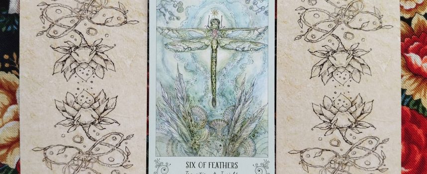 Волшебная дверь на четверг 14 августа 2025