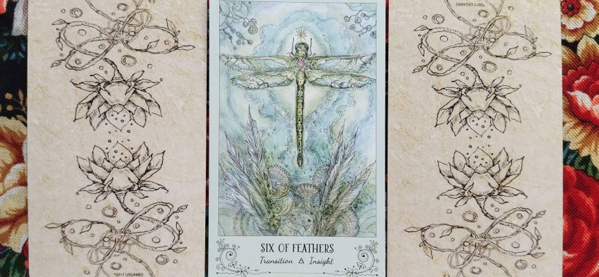 Волшебная дверь на четверг 14 августа 2025