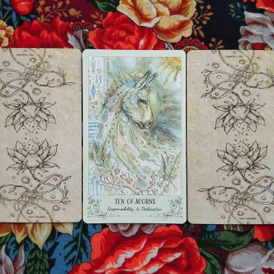 Magical Door for Friday, August 15, 2025