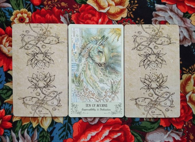 Magical Door for Friday, August 15, 2025