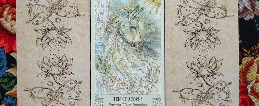 Magical Door for Friday, August 15, 2025