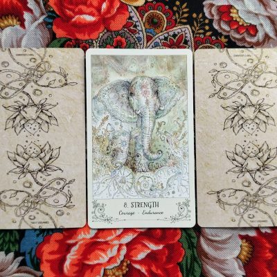 Magical Door for Saturday, August 16, 2025