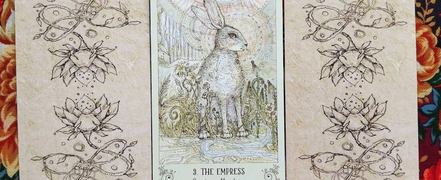 Волшебная дверь на вторник 19 августа 2025