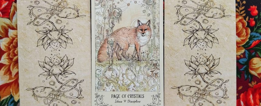 Magical Door for Wednesday, August 20, 2025