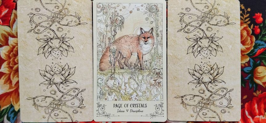 Волшебная дверь на среду 20 августа 2025