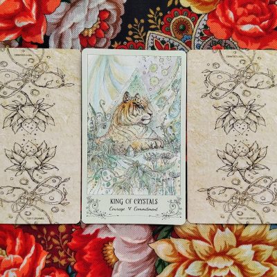 Magical Door for Saturday, August 23, 2025