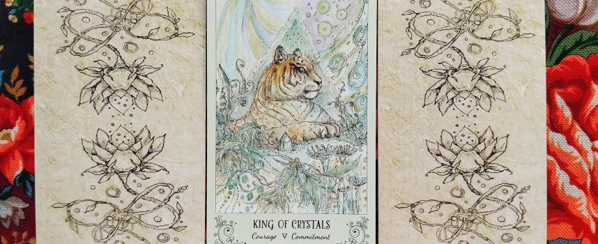 Magical Door for Saturday, August 23, 2025