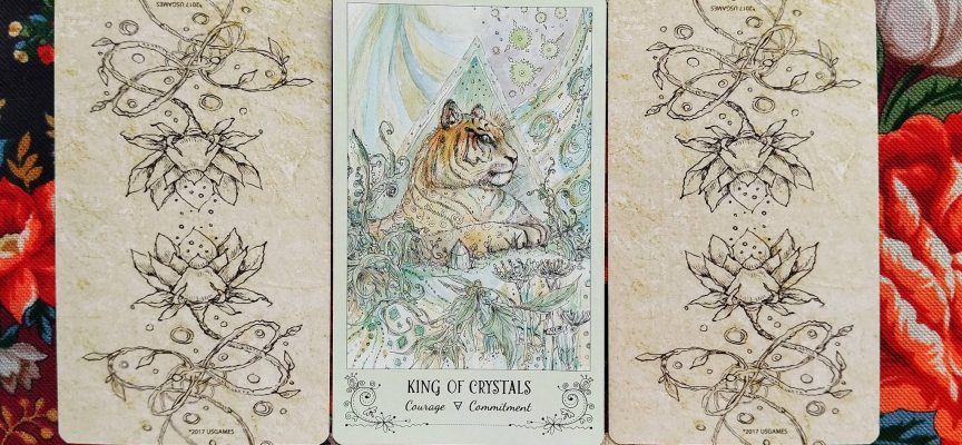 Magical Door for Saturday, August 23, 2025