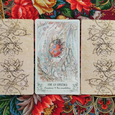 Magical Door for Sunday, August 24, 2025