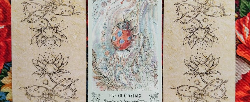 Magical Door for Sunday, August 24, 2025