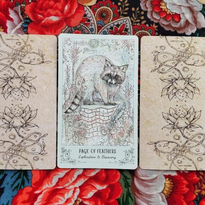 Magical Door for Tuesday, August 26, 2025