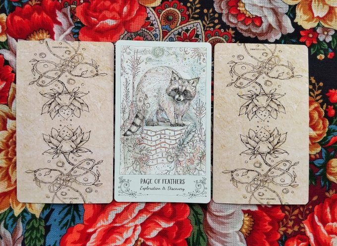 Magical Door for Tuesday, August 26, 2025