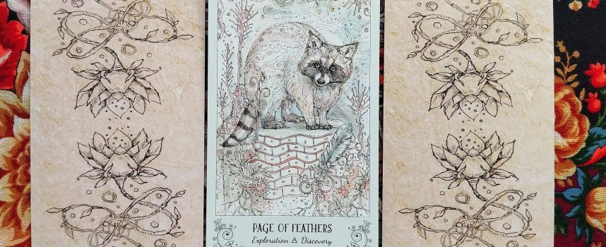 Magical Door for Tuesday, August 26, 2025