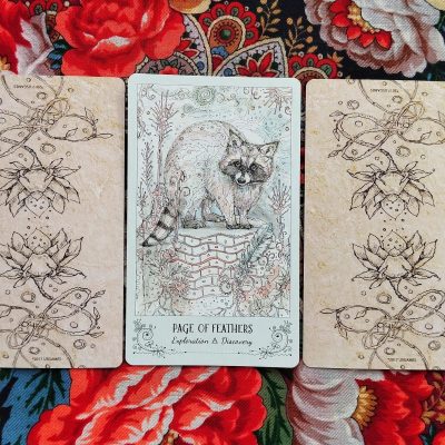 Волшебная дверь на вторник 26 августа 2025