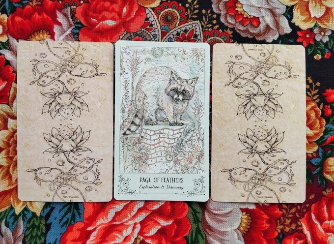 Волшебная дверь на вторник 26 августа 2025