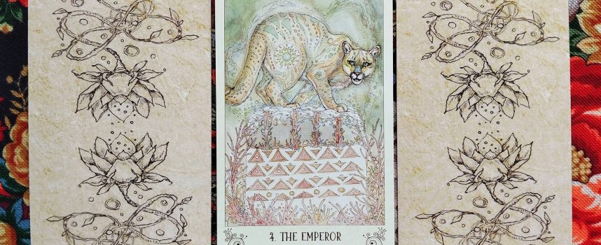 Magical Door for Thursday, August 28, 2025