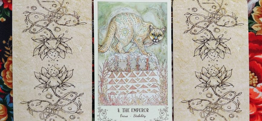 Magical Door for Thursday, August 28, 2025