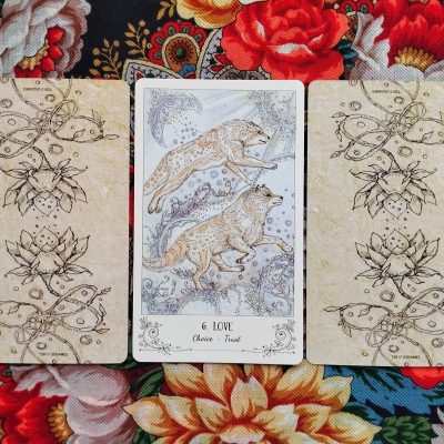 Magical Door for Friday, August 29, 2025