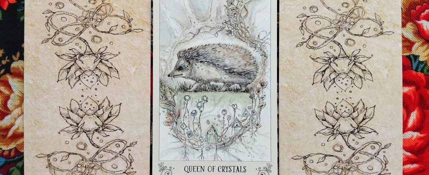 Magical Door for Saturday, August 30, 2025