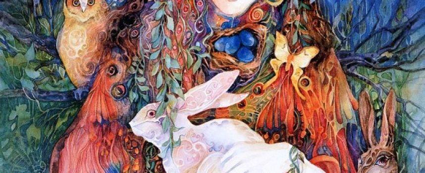 Daily Practices: “Spirit of the Rabbit”