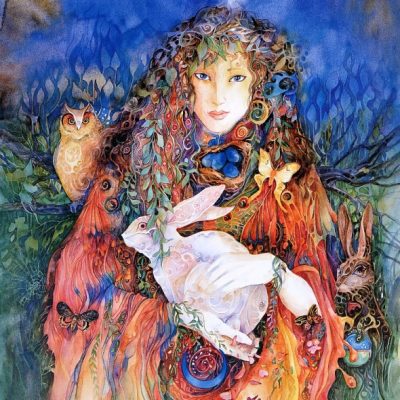 Практики дня «Дух Кролика»