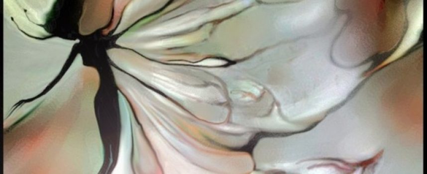 Daily Practices: “Spirit of the Dragonfly”