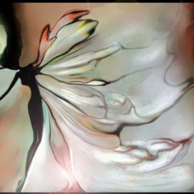 Практики дня «Дух Стрекозы»