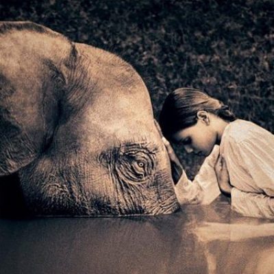 Daily Practices: “Spirit of the Elephant”