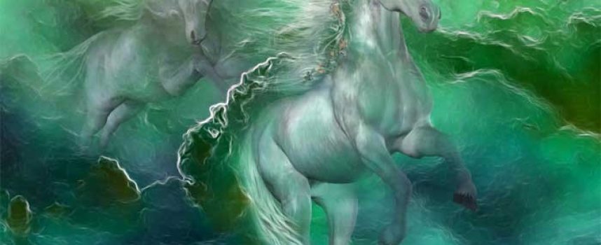 Daily Practices: “Spirit of the Donkey”