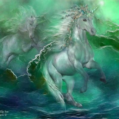 Практики дня «Дух Осла»