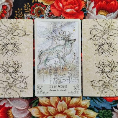 Magical Door for Tuesday, September 23, 2025