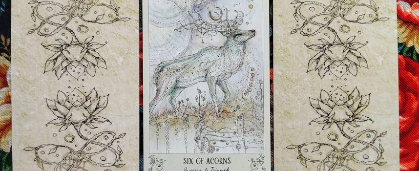 Magical Door for Tuesday, September 23, 2025