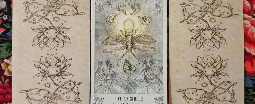 Magical Door for Monday, September 22, 2025