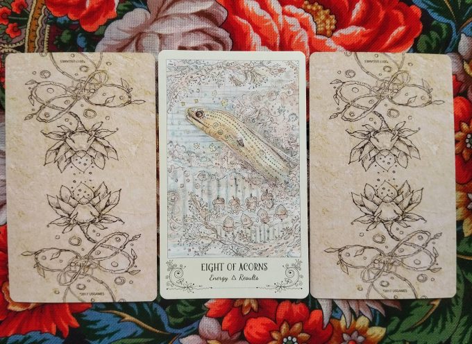 Волшебная дверь на среду 24 сентября 2025