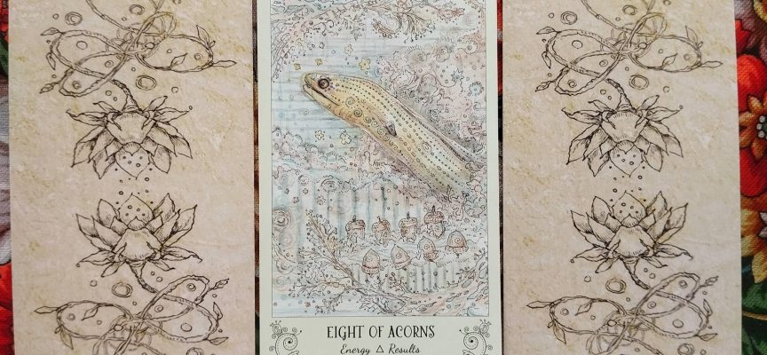 Волшебная дверь на среду 24 сентября 2025