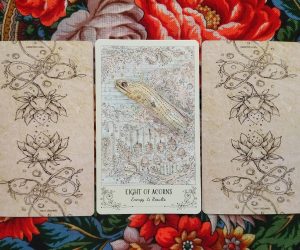 Magical Door for Friday, September 25, 2026