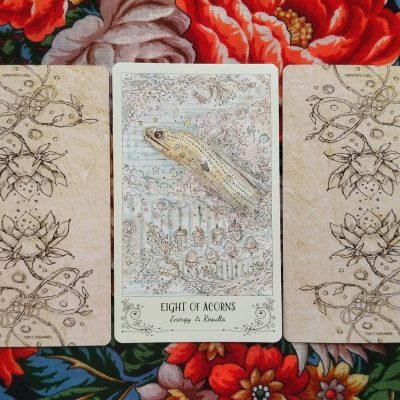 Magical Door for Wednesday, September 24, 2025