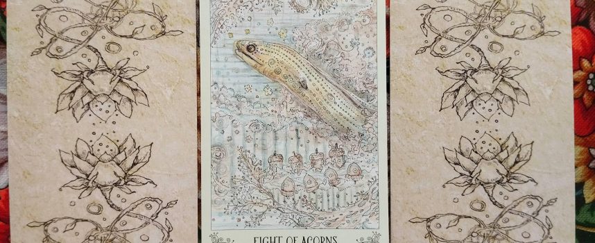 Magical Door for Wednesday, September 24, 2025