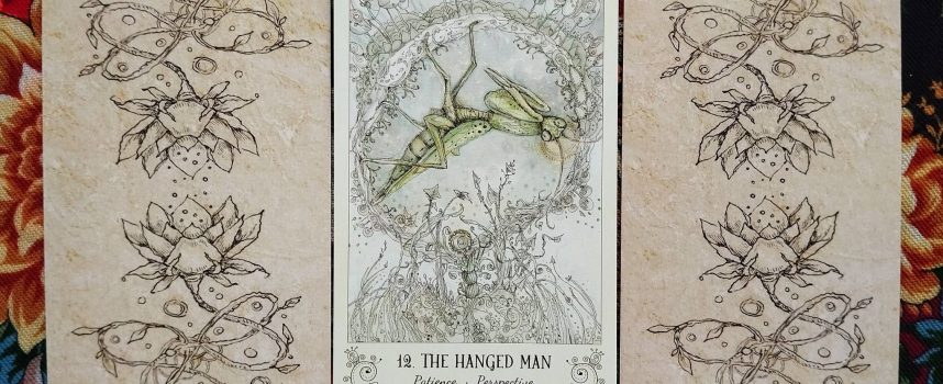 Magical Door for Saturday, September 27, 2025