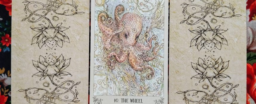 Magical Door for Sunday, September 28, 2025