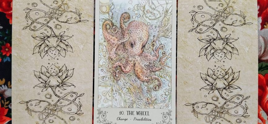 Волшебная дверь на воскресенье 28 сентября 2025