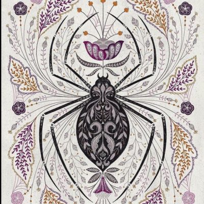 Практики дня «Дух Паука»