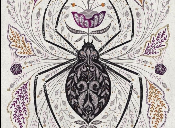 Практики дня «Дух Паука»