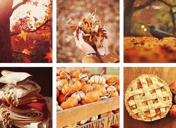 Roads of Mabon: Weekly Forecast, September 22–28, 2025