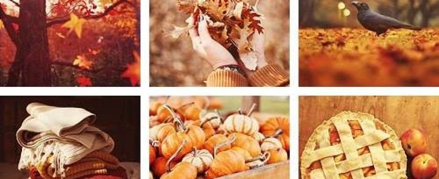 Roads of Mabon: Weekly Forecast, September 22–28, 2025