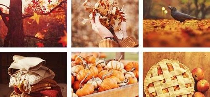 Roads of Mabon: Weekly Forecast, September 22–28, 2025