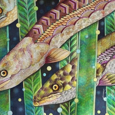 Практики дня «Дух Угря»