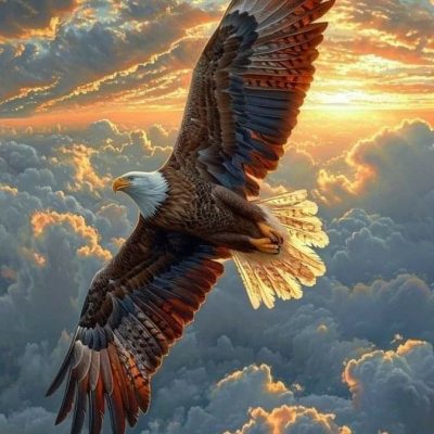 Daily Practices: “Spirit of the Eagle”