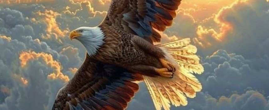 Daily Practices: “Spirit of the Eagle”